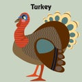 Vector cartoon turkey Royalty Free Stock Photo