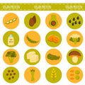 Vector cartoon vegan sources of protein