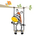 Vector cartoon of zebra playing swing with a little bird