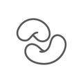 Cashew nuts line icon.