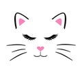 Vector cat face with long lashes. Royalty Free Stock Photo