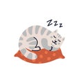 Vector cat illustration, Cute tabby kitten sleeping on the pillow. Vector illustration in flat cartoon style on white Royalty Free Stock Photo