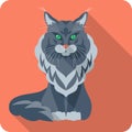 Vector Cat Maine Coon icon flat design