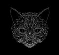 Vector cat thin line style. Cat low poly design illustration. Abstract mammal animal. Geometric polygonal silhouette