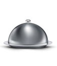 Vector catering tray covered chrome