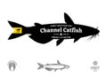 Vector catfish seafood label Royalty Free Stock Photo