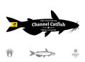 Vector catfish seafood label