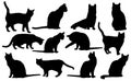 Vector cats silhouette.