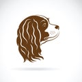 Vector of Cavalier King Charles Spaniel dog on white background. Royalty Free Stock Photo