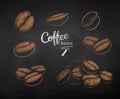 Vector chalk drawn sketches set of coffee beans Royalty Free Stock Photo