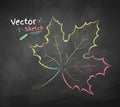 Vector chalkboard drawing of autumn leaf