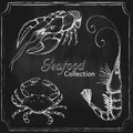 Vector chalkboard seafood menu background. hand drawn blackboard seafood collection. background template with different sea