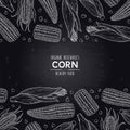 Vector chalkboard style frame with organic corn cobs and grain