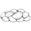 Vector challah Jewish bread, Fresh homemade braided bread black and white illustration for Shabbat designs