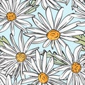 Vector chamomile bloom pattern. Summer abstract botany print. Rustic daisy seamless pastel print. Spring plant bloom, floral