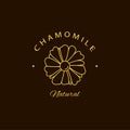 Vector chamomile logo design templates and emblem. Beauty and cosmetics oils - chamomile. Natural chamomile. Logo in linear style