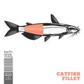 Vector channel catfish illustration