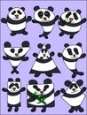 Vector Character Design Panda Set illustration