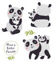 Vector Characters. Panda bear. Cute set Royalty Free Stock Photo