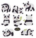 Vector Characters. Panda bear. Cute set Royalty Free Stock Photo