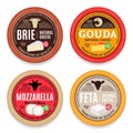 Vector cheese round labels and icons