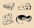 Vector cheese set. Vintage hand drawn parmesan, cheddar etc illustrations on black background. Dairy products sketches. Royalty Free Stock Photo