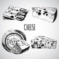 Vector cheese sketch drawing designer template. farm food collection. hand drawn dairy product