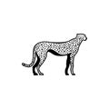 Vector cheetah silhouette view side for retro logos, emblems, badges, labels template vintage design element. Isolated on white