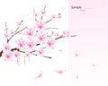 Vector cherry blossom branch Royalty Free Stock Photo