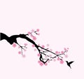 Vector cherry blossom Royalty Free Stock Photo