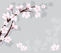 vector cherry branch on gray background