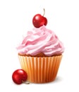 Vector cherry cupcake Royalty Free Stock Photo