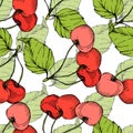 Vector Cherry fruits on white background. Green leaf. Red and green engraved ink art. Seamless background pattern.