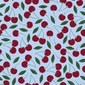 Vector cherry repeat seamless pattern. Wine red cherries with leaves on light blue background Royalty Free Stock Photo