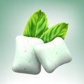 Vector chewing gum and green mint for fresh breath
