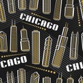 Vector Chicago Seamless Pattern Royalty Free Stock Photo