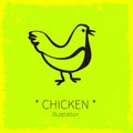 Vector Chicken Bird Illustration.