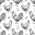 Vector chicken breeding hand drawn seamless pattern. Royalty Free Stock Photo