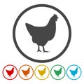 Vector chicken silhouette icons