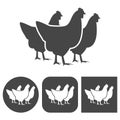 Vector chicken silhouette icons set