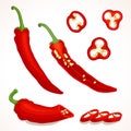 Vector chili pepper