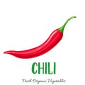 Vector chili vegetable