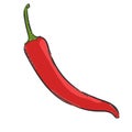 Vector chilli pepper