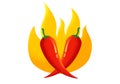 Vector chilli peppers in retro style. Vector vintage emblem with red chili pepper with flame. Logo of Chilli with fire in vintage