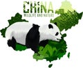 Vector china map with panda