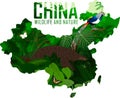 Vector china map with Pangolin and diamond pheasant