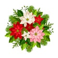 Christmas bouquet with poinsettia flowers, fir branches, holly and mistletoe. Vector illustration. Royalty Free Stock Photo