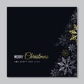 Vector Christmas card with snowflakes. Silver and gold snowflakes on black background Royalty Free Stock Photo