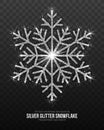 Vector Christmas Decoration Silver Snowflake