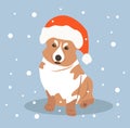 Christmas illustration in flat style - cute dog corgi in santa hat
